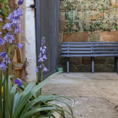 Wobble Pops Feriehus Whitby