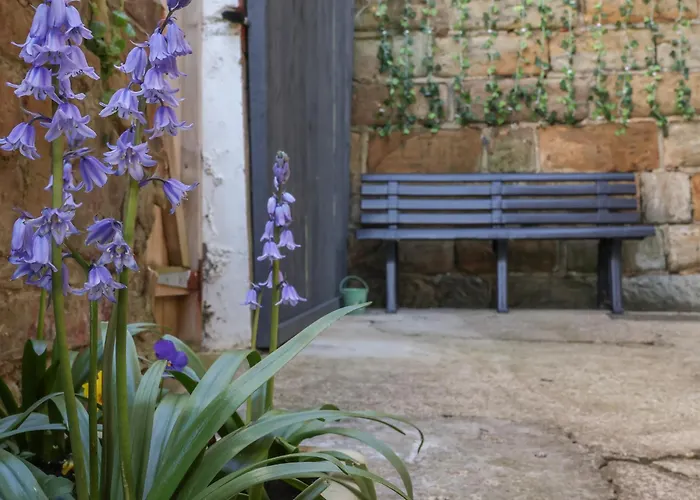 Wobble Pops Ferienhaus Whitby